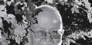 Vigne, savana e foresta amazzonica