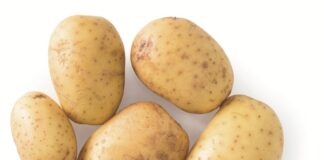 La patata e il gnocco, questione di genere