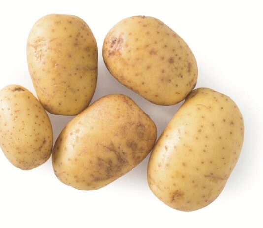 La patata e il gnocco, questione di genere