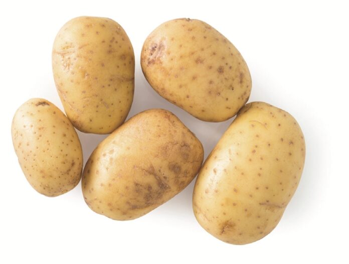 La patata e il gnocco, questione di genere