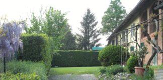 “Nonna Ghitin mi ha fatto sognare”