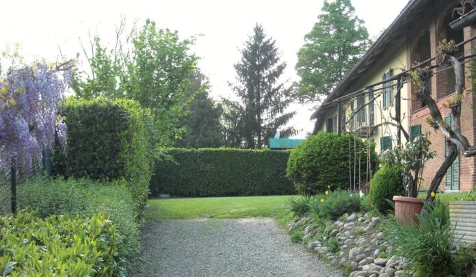 “Nonna Ghitin mi ha fatto sognare”