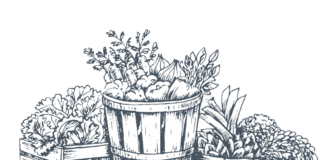 La fiera scomparsa nei prati di Castagnole Lanze