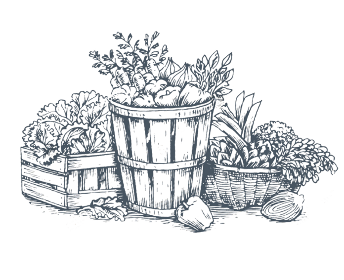 La fiera scomparsa nei prati di Castagnole Lanze