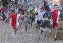 Corse con gli asini, una tradizione viva a Cocconato che arriva alla Festa del mezzo secolo