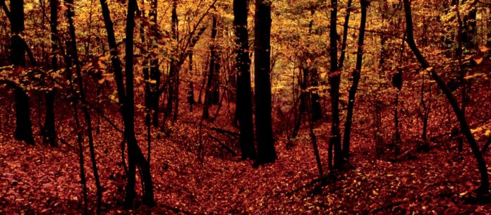Giacimenti di naturalità nascosti tra le colline dell’astigiano