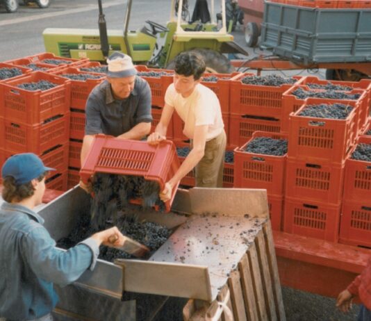 Cantina di Vinchio e Vaglio, sessant’anni ben portati