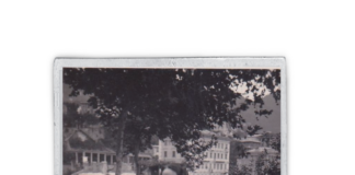 Di mamma ce n’è una sola e non stava zitta