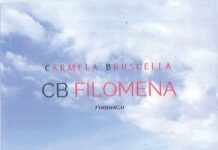 Il sogno insolito di Filomena, guidare un camion negli anni ’60