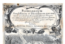 Un catalogo botanico al tempo della “Bolla dei Tulipani”