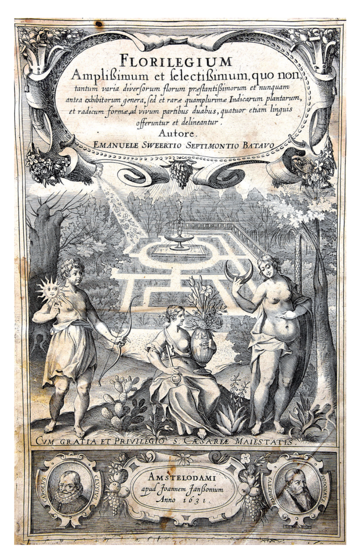 Un catalogo botanico al tempo della “Bolla dei Tulipani”