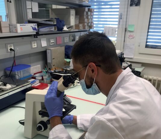 Due cuori in Svizzera con phon e microscopio