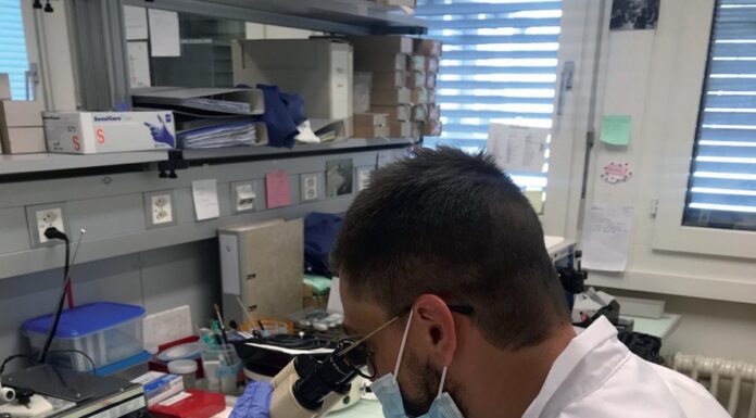 Due cuori in Svizzera con phon e microscopio