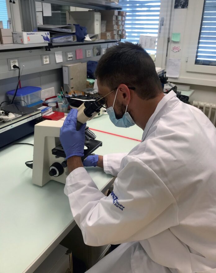 Due cuori in Svizzera con phon e microscopio