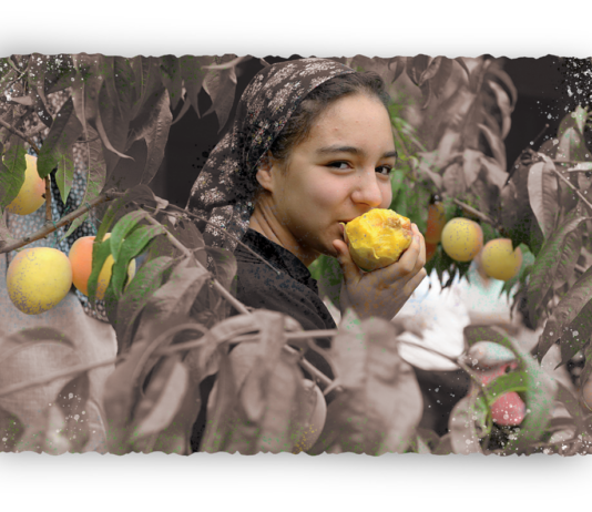 Frutta e ortaggi, la colorata biodiversità dell’astigiano