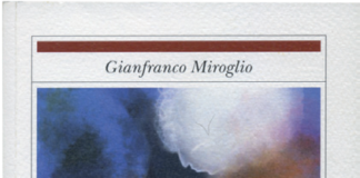Se scrivere significa osservare e testimoniare “con anime chiudo una specie di confessione”